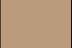Desert-Tan Desert-Tan
