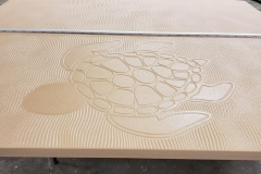 desert-tan-turtles-scaled desert-tan-turtles-scaled