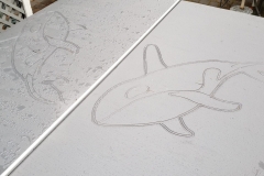double-orcas-scaled double-orcas-scaled