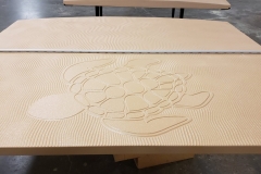 swimming-turtles-scaled