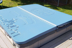 2-piece-light-blue-local-sports-logos-scaled-e1635309884347