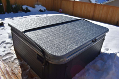 Classic-in-Platinum-c-1024x683-1